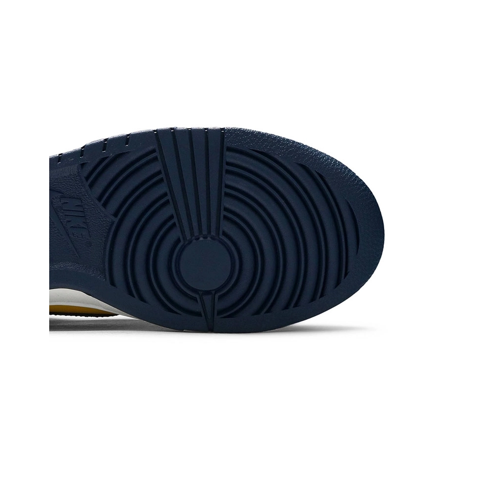 DUNK LOW MICHIGAN 2021,Dunk SB,NIKE SHOES Reps