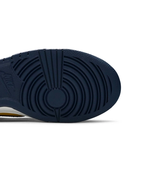 DUNK LOW MICHIGAN 2021,Dunk SB,NIKE SHOES Reps