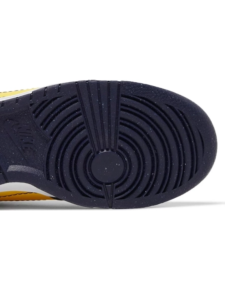 Dunk Low Disrupt 2 Michigan,Dunk SB,NIKE SHOES Reps