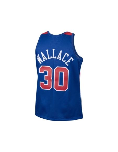 Mens Washington Bullets Ben Wallace Royal 2001/02 Hardwood Classics Swingman Jersey