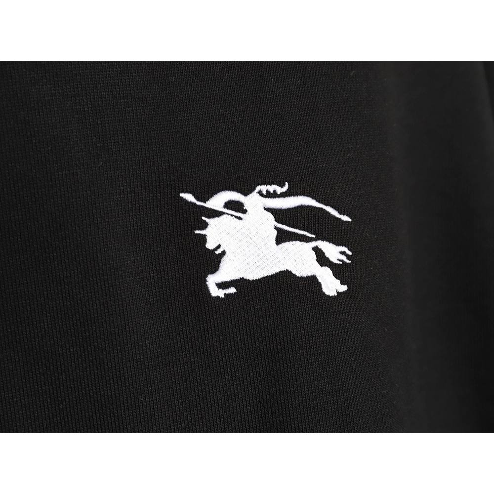 Burberry logo embroidered puff print hooded sweatshirt TSK1,Burberry