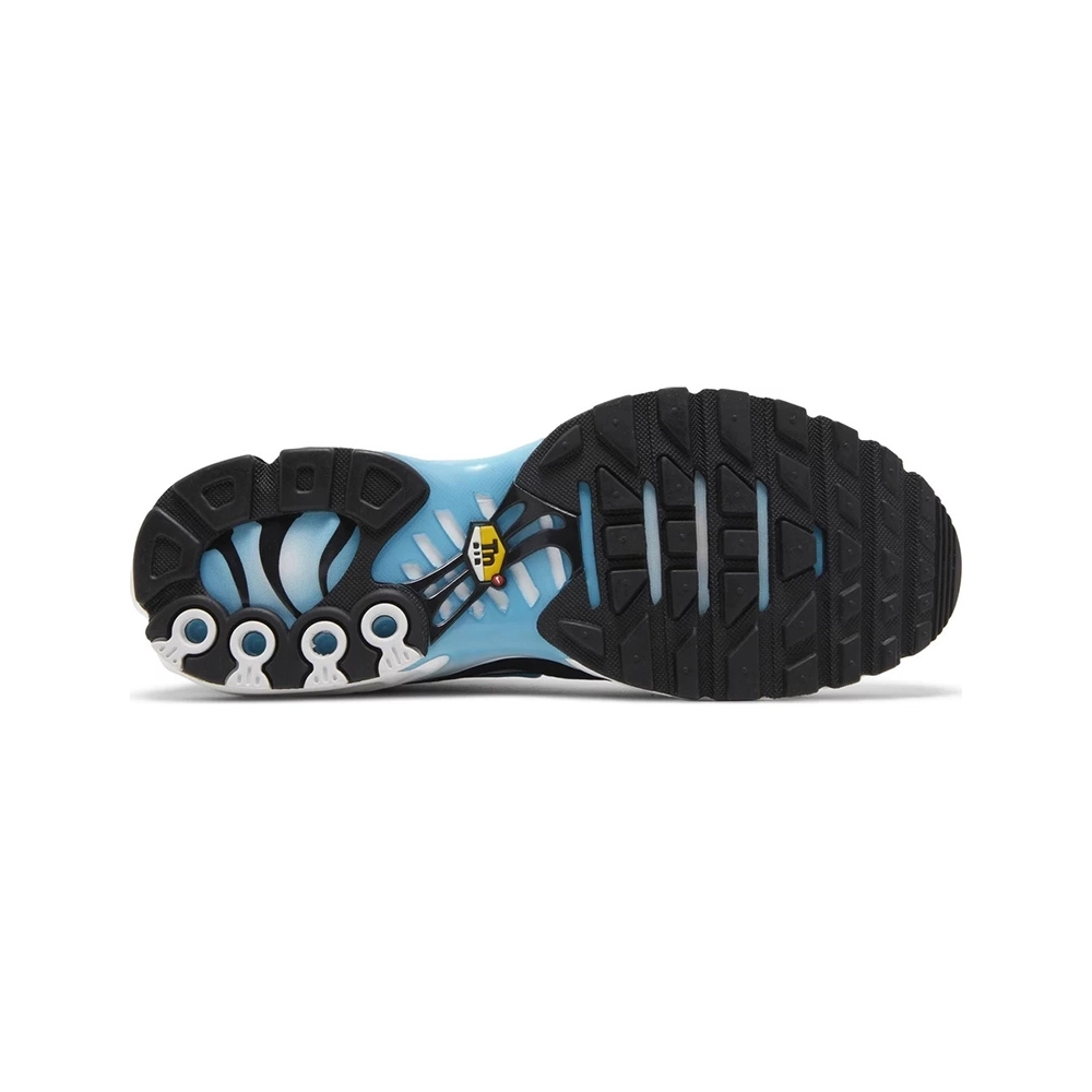 Nike Air Max Plus Baltic Blue,NIKE AIR MAX,NIKE SHOES Reps