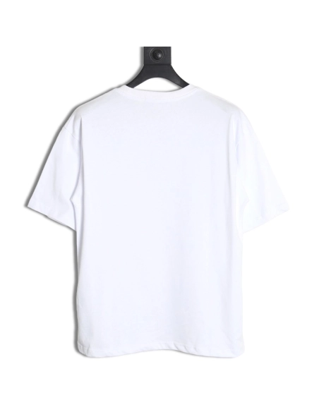 Dior 24SS monogram short-sleeved T-shirt,All order with free shipping Dior