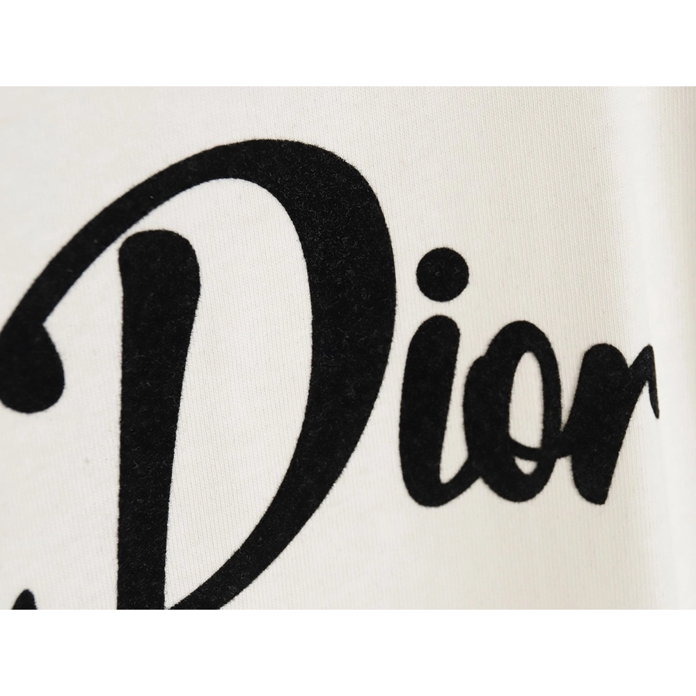 Dior 24SS logo pattern embroidered flocked letter T-shirt,All order with free shipping Dior