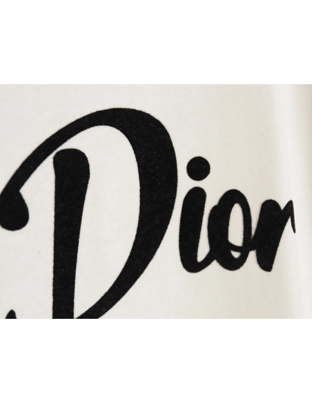 Dior 24SS logo pattern embroidered flocked letter T-shirt,All order with free shipping Dior