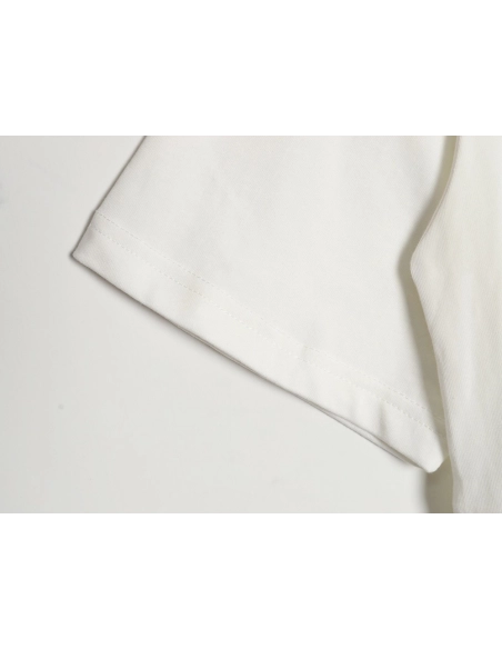 Reps Louis Vuitton 24SS streamer bird print short-sleeved T-shirt,All order with free shipping Reps Louis Vuitton