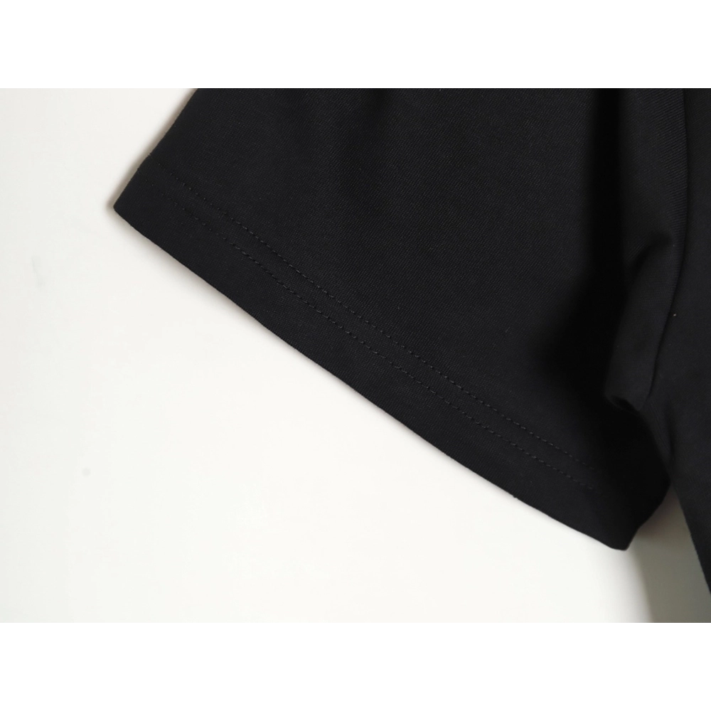 Celine 24SS DASHSNOW show limited edition short-sleeved T-shirt,All order with free shipping Celine