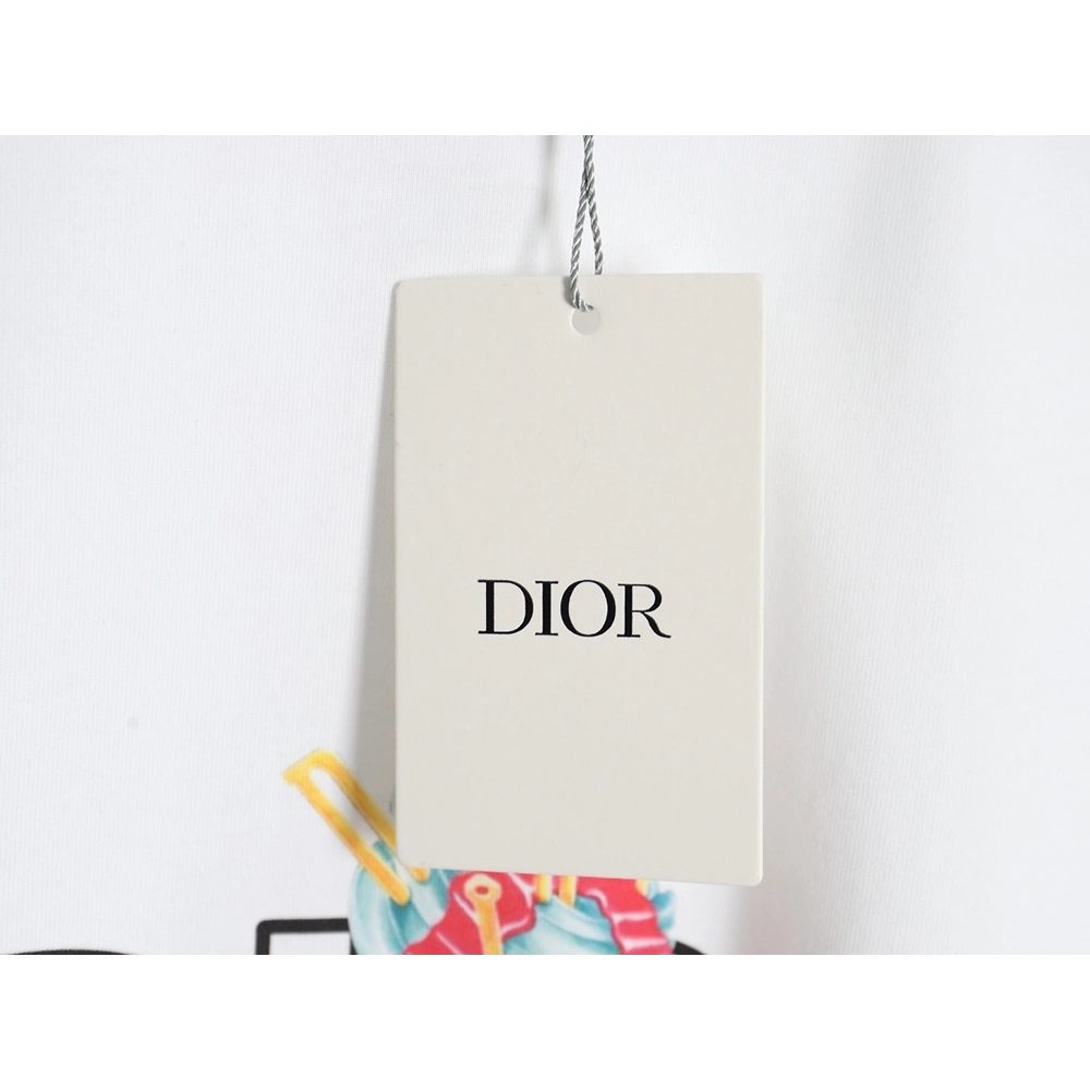 Dior crew neck short sleeve T-shirt TSK2,All order with free shipping Dior