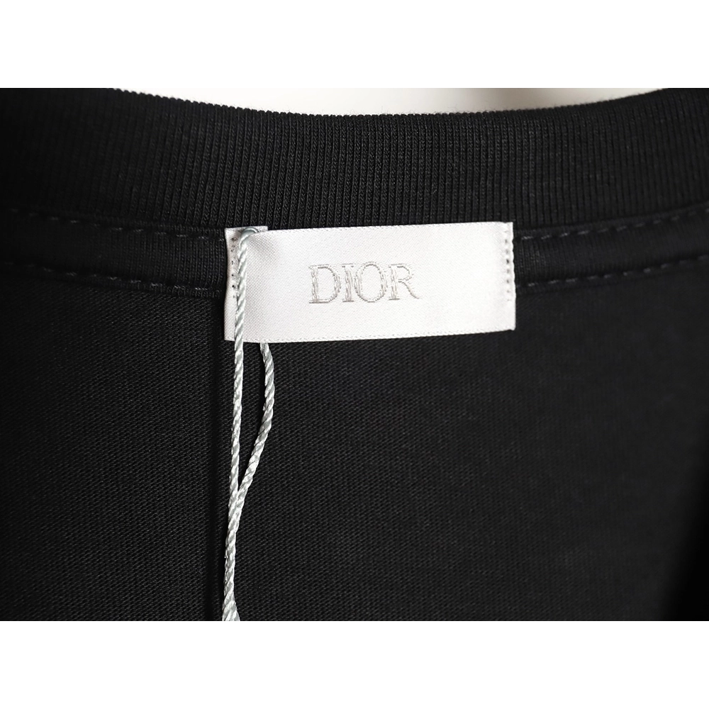 DIOR 24SS logo print couple short-sleeved T-shirt TSK1,All order with free shipping Dior