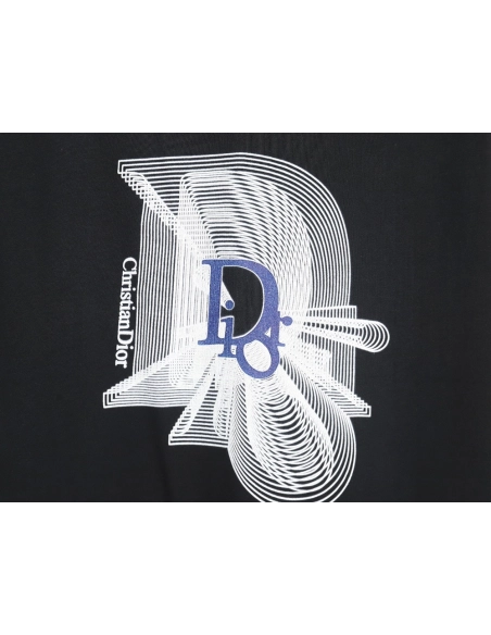 DIOR 24SS logo print couple short-sleeved T-shirt TSK1,All order with free shipping Dior