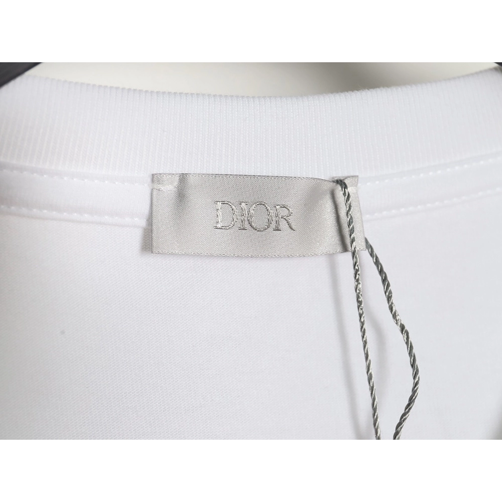 Dior Dragon Print Lettering Short Sleeve T-Shirt,All order with free shipping Dior
