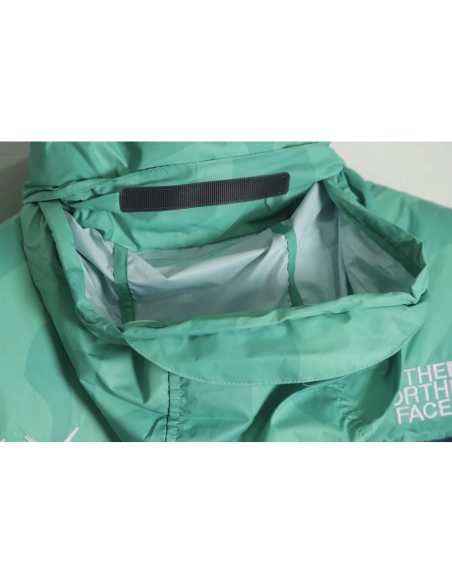 The North Face KAWS Joint 1996 American Edition Down Jacket TSK3,The North Face Jacket,Jacket,APPAREL