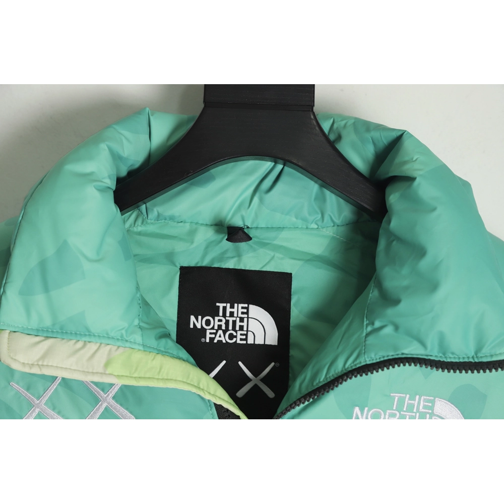 The North Face KAWS Joint 1996 American Edition Down Jacket TSK3,The North Face Jacket,Jacket,APPAREL