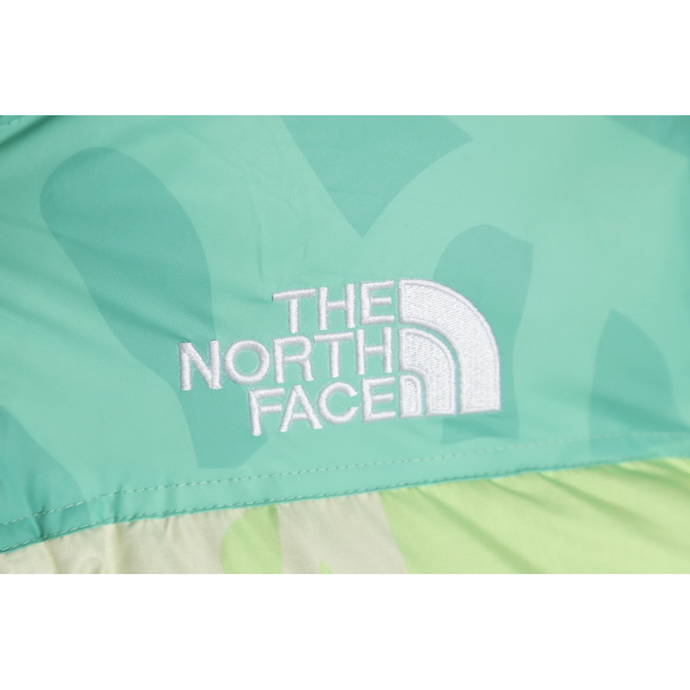 The North Face KAWS Joint 1996 American Edition Down Jacket TSK3,The North Face Jacket,Jacket,APPAREL