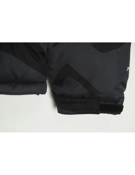 The North Face KAWS Joint 1996 American Edition Down Jacket TSK1,The North Face Jacket,Jacket,APPAREL