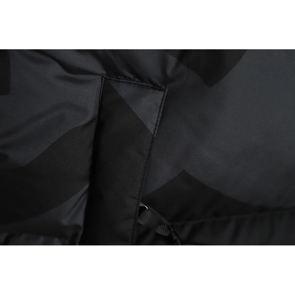 The North Face KAWS Joint 1996 American Edition Down Jacket TSK1,The North Face Jacket,Jacket,APPAREL