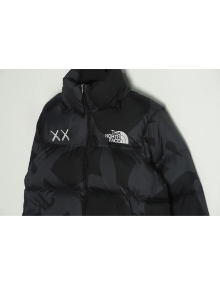 The North Face KAWS Joint 1996 American Edition Down Jacket TSK1,The North Face Jacket,Jacket,APPAREL