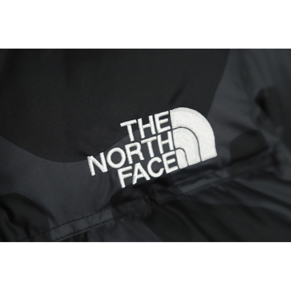 The North Face KAWS Joint 1996 American Edition Down Jacket TSK1,The North Face Jacket,Jacket,APPAREL