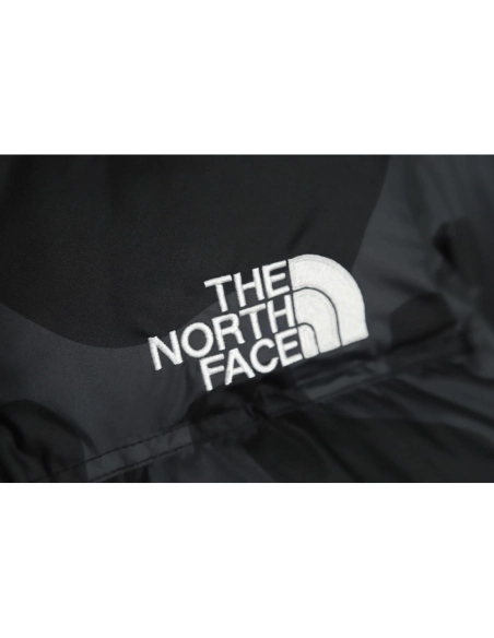 The North Face KAWS Joint 1996 American Edition Down Jacket TSK1,The North Face Jacket,Jacket,APPAREL