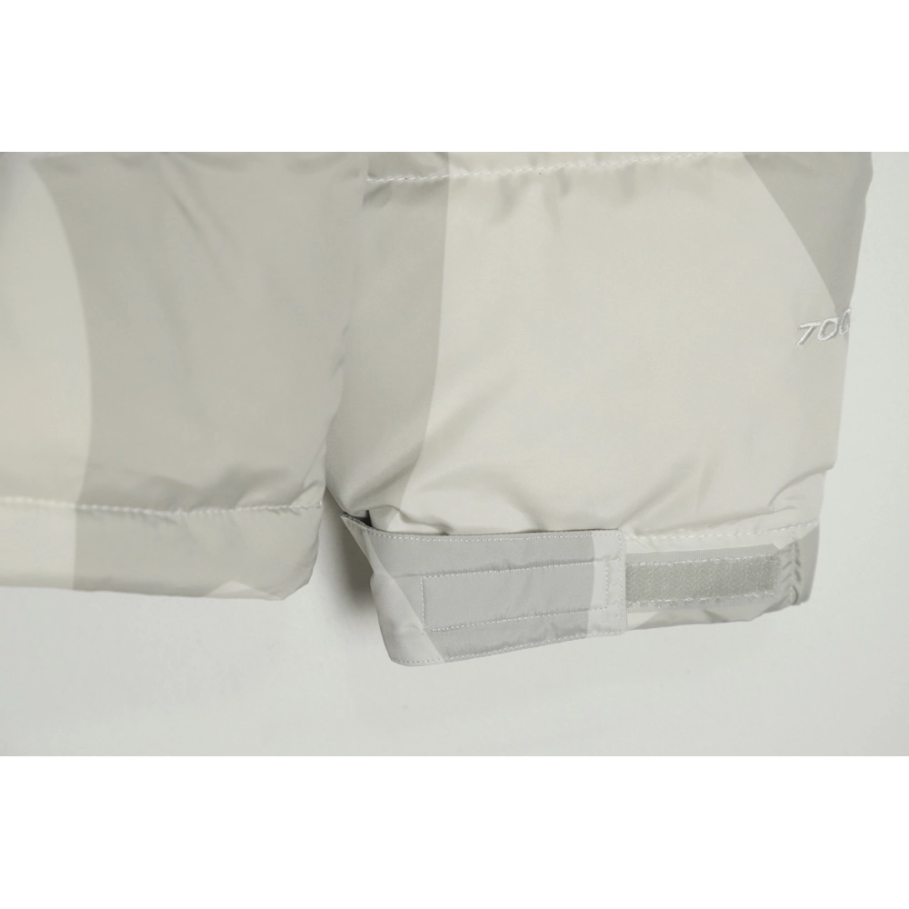 The North Face KAWS Joint 1996 American Edition Down Jacket,The North Face Jacket,Jacket,APPAREL