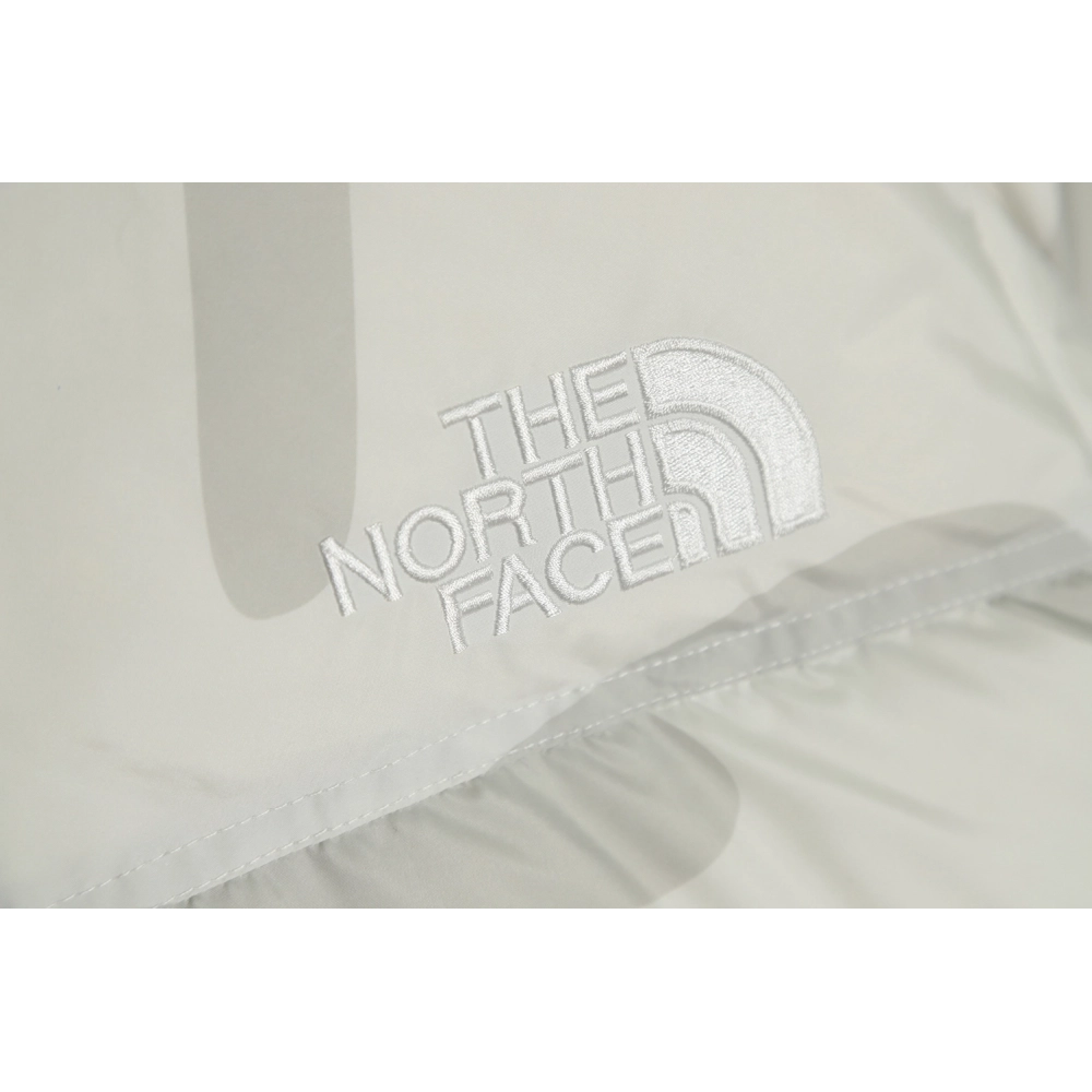 The North Face KAWS Joint 1996 American Edition Down Jacket,The North Face Jacket,Jacket,APPAREL