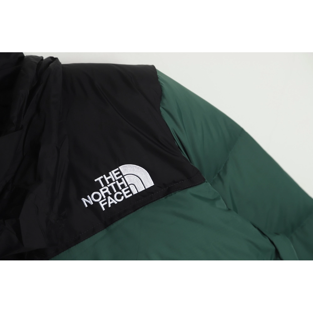 The North Face 1996 down jacket 5s version TSK6,The North Face Jacket,Jacket,APPAREL
