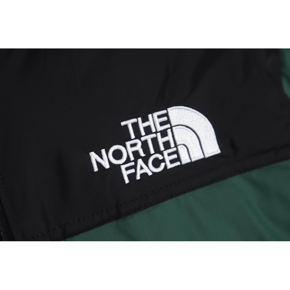 The North Face 1996 down jacket 5s version TSK6,The North Face Jacket,Jacket,APPAREL