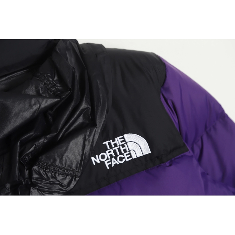 The North Face 1996 down jacket 5s version TSK4,The North Face Jacket,Jacket,APPAREL