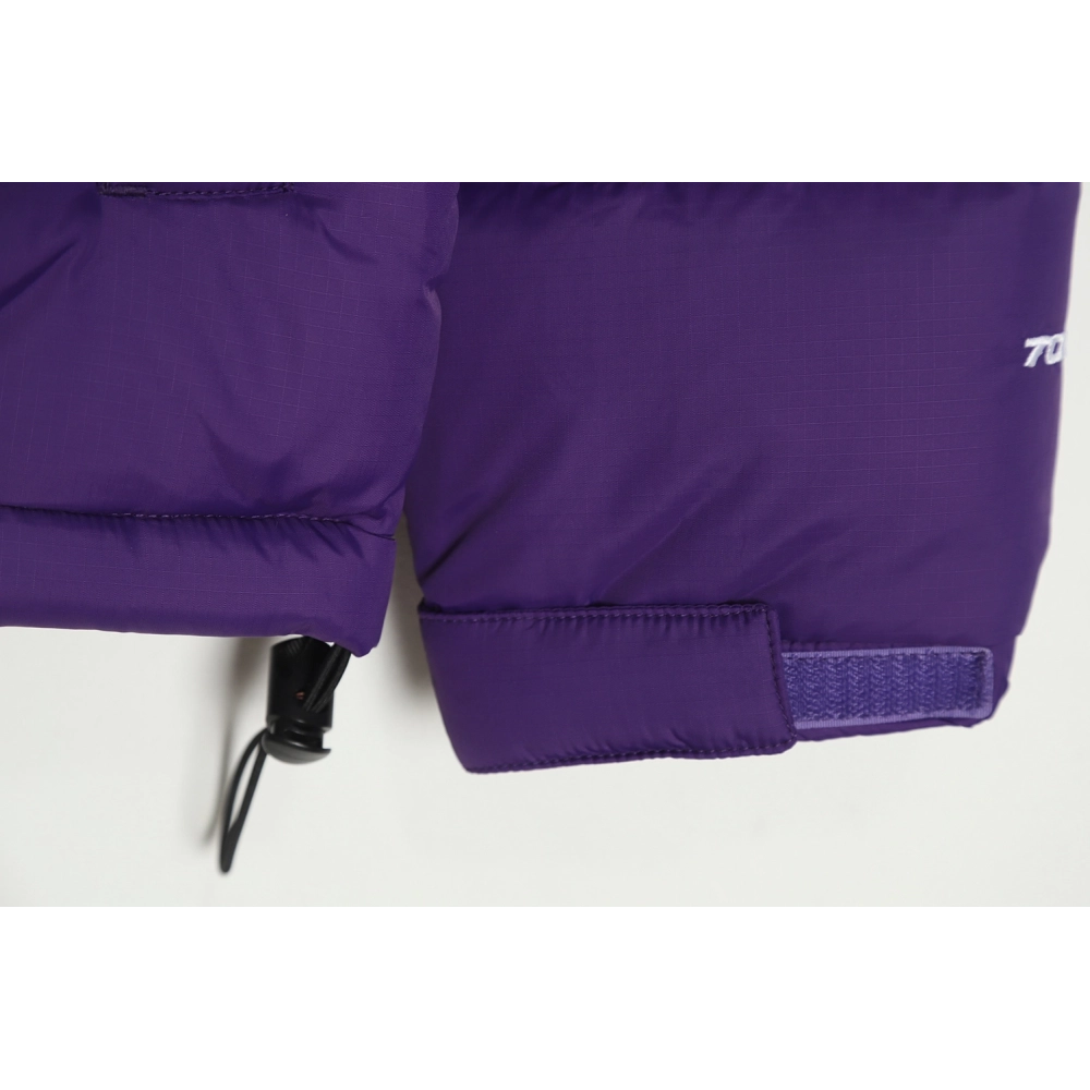 The North Face 1996 down jacket 5s version TSK4,The North Face Jacket,Jacket,APPAREL