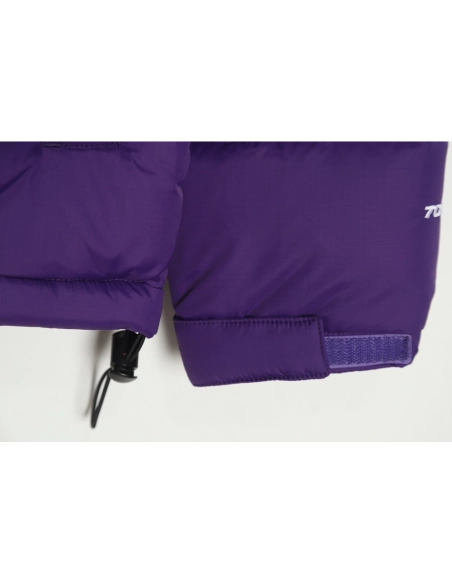 The North Face 1996 down jacket 5s version TSK4,The North Face Jacket,Jacket,APPAREL