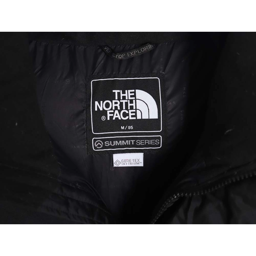 THE NORTH FACE TNF\THE NORTH FACE TNF 23SS Peak Series 97S Big Peak Limited PRO Enhanced Edition Down Jacket_CM_2,The North Face