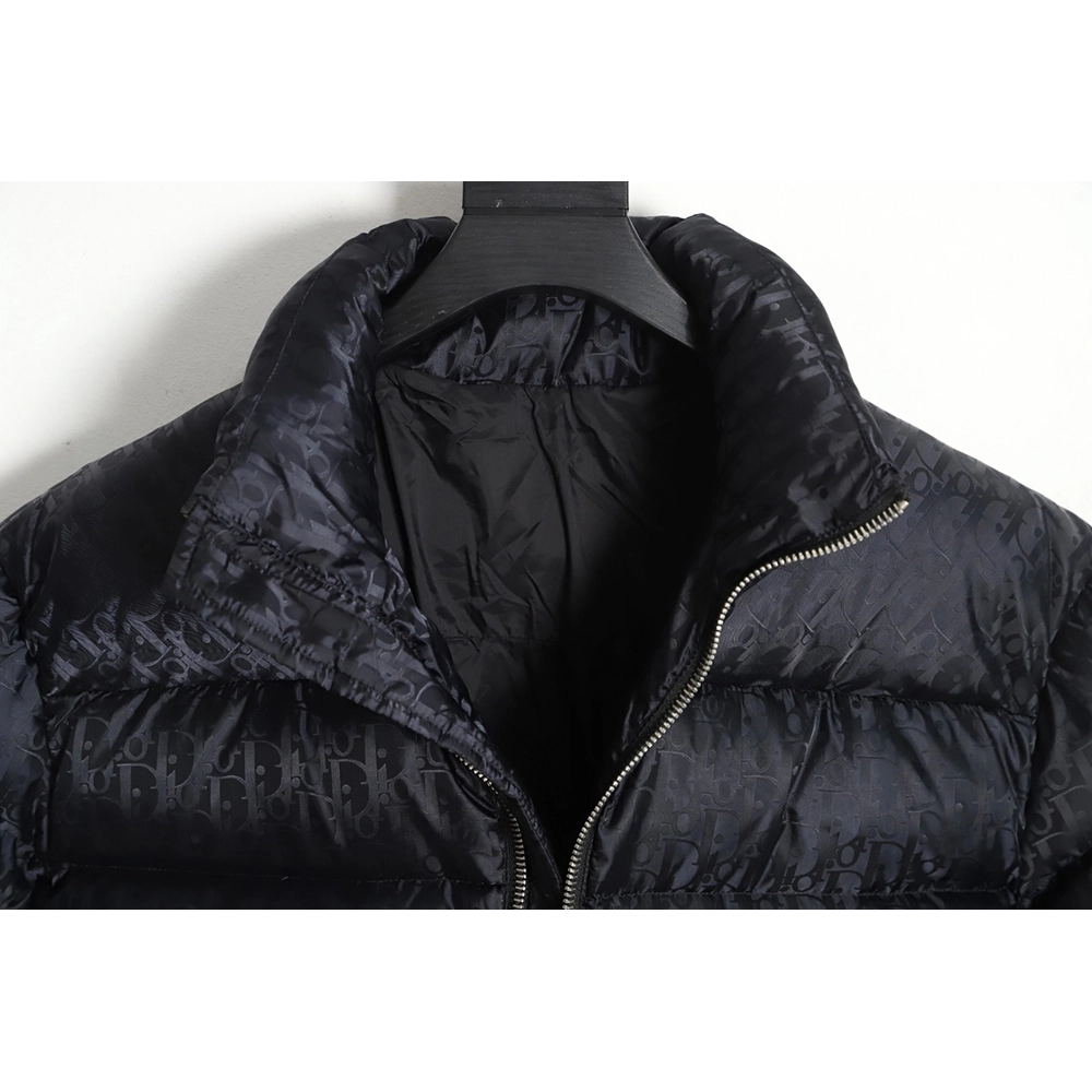 Dior 20FW all over printed dark pattern presbyopic down jacket,Dior Jacket,Jacket,APPAREL