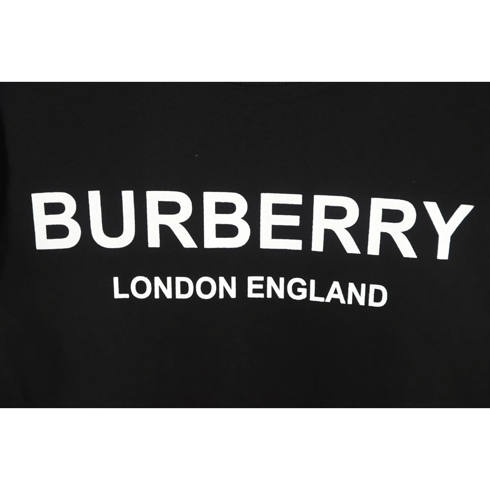 Burberry 23FW London limited crew neck sweatshirt,Burberry Sweatshirt,Sweatshirt,APPAREL