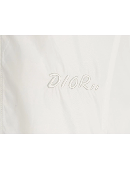 Dior embroidered letters small wasp hooded jacket,Dior Jacket,Jacket,APPAREL