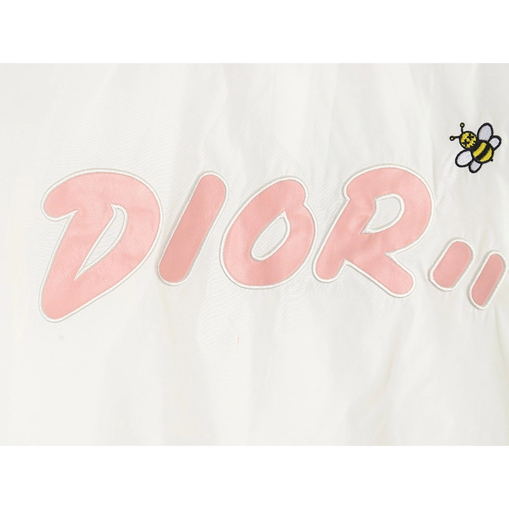 Dior embroidered letters small wasp hooded jacket,Dior Jacket,Jacket,APPAREL