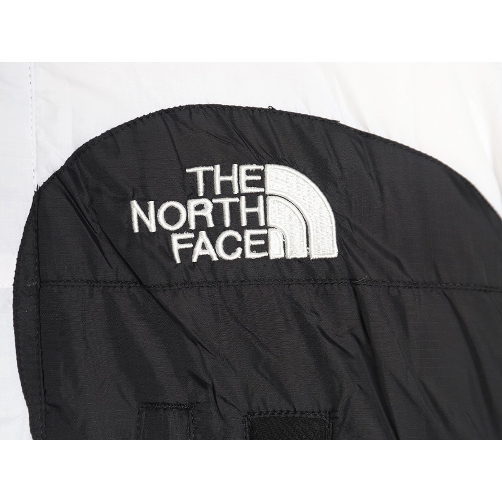 The North Face &amp; Supreme Big S joint down jacket TSK1,The North Face