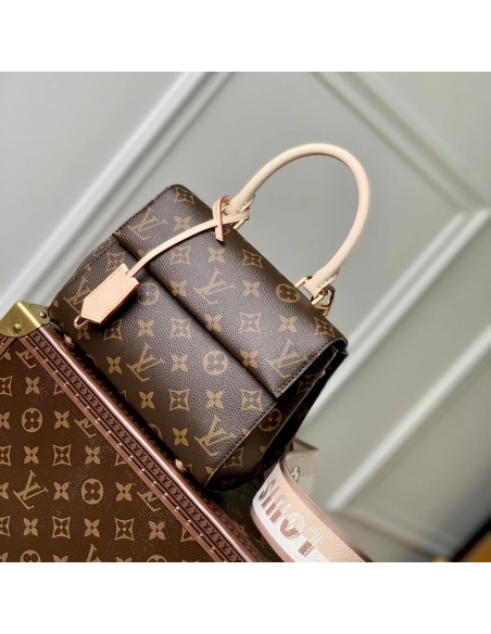 Louis Vuitton Cluny mini Bags M46055 20X16X7.5cm,Louis Vuitton Bags