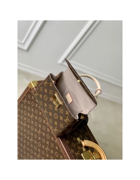Louis Vuitton Cluny mini Bags M46055 20X16X7.5cm,Louis Vuitton Bags