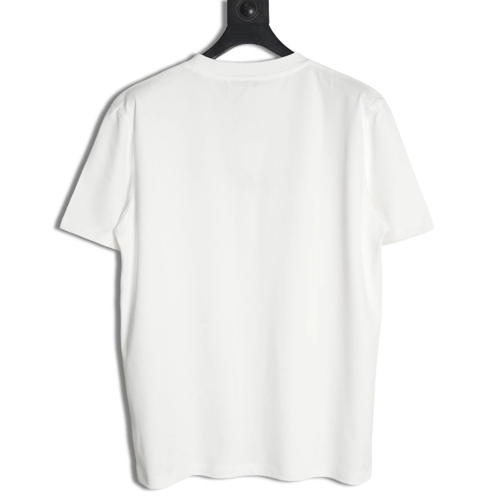 Dior four-color embroidered chapter letter T-shirt,Dior