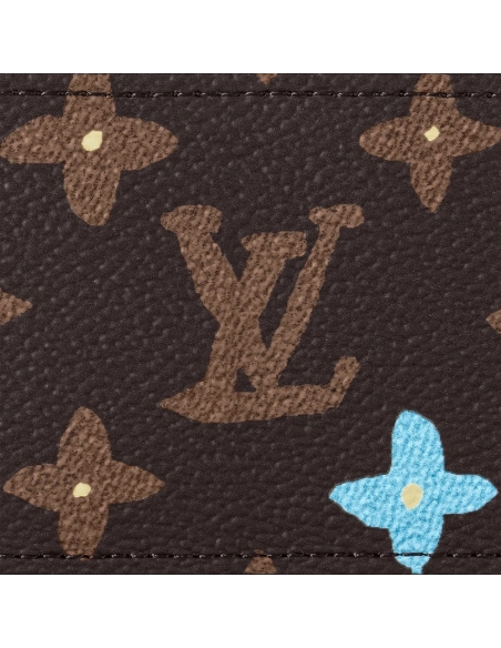 Louis Vuitton Wallets M83348 11X7X0.5cm