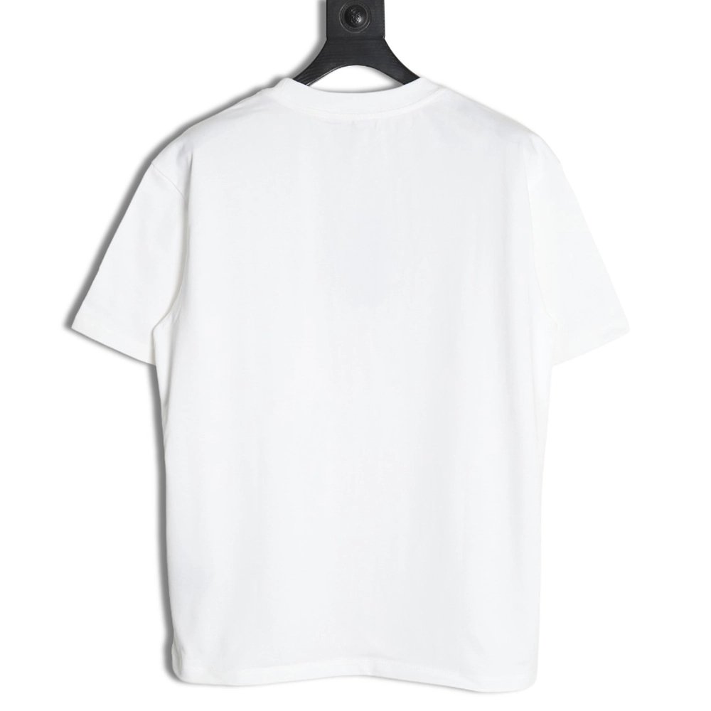 Dior &amp; Stone island co-branded embroidered logo short-sleeved T-shirt,Dior