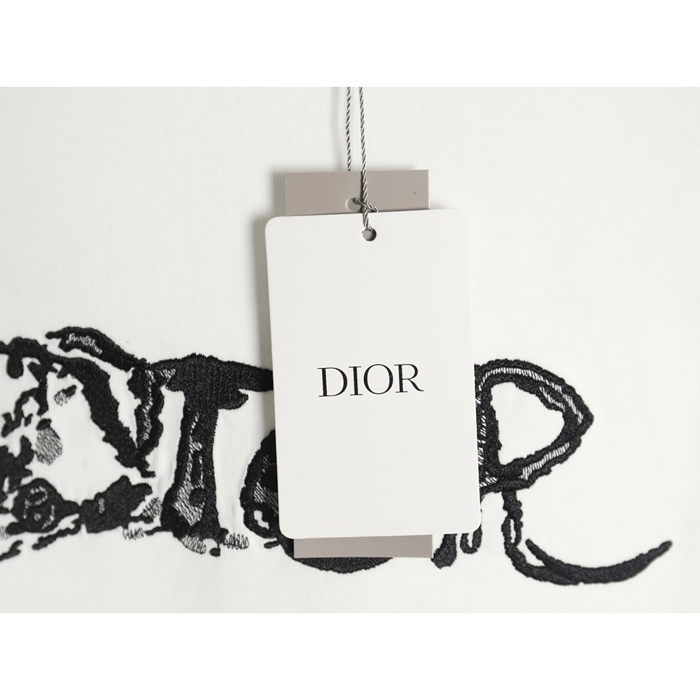 Dior lettering embroidered short sleeve T-shirt,Dior