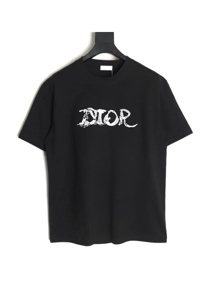 Dior lettering embroidered short sleeve T-shirt,Dior