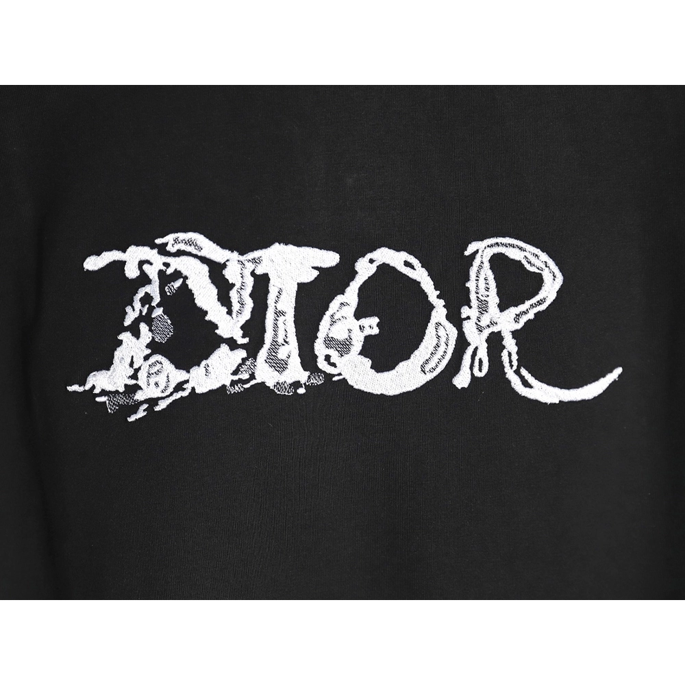 Dior lettering embroidered short sleeve T-shirt,Dior