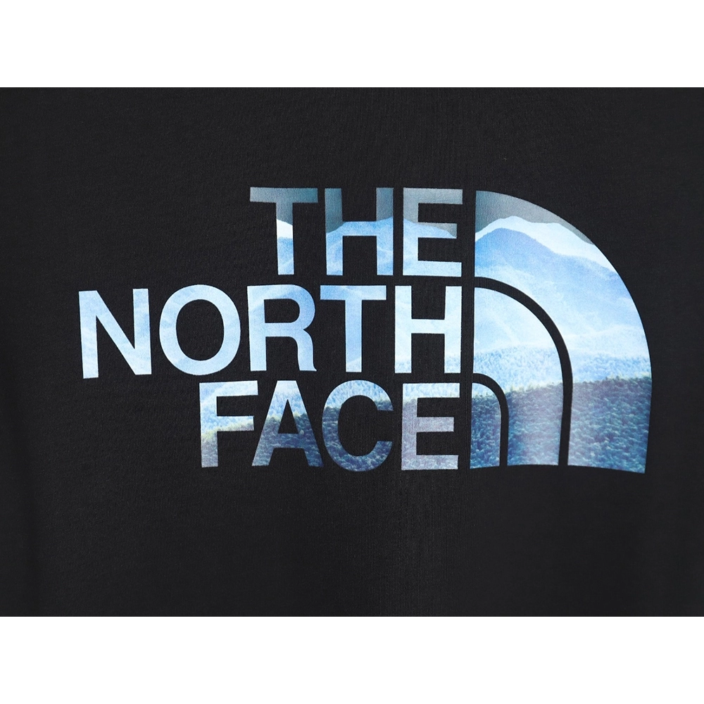 The North face LOGO print short sleeve T-shirt TSK1,The North Face