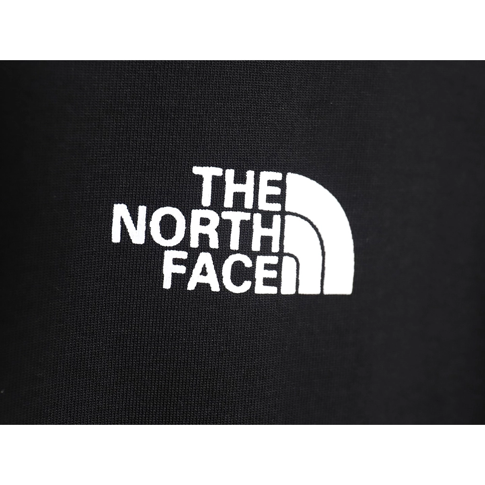 The North face classic small logo print short-sleeved T-shirt TSK1,The North Face