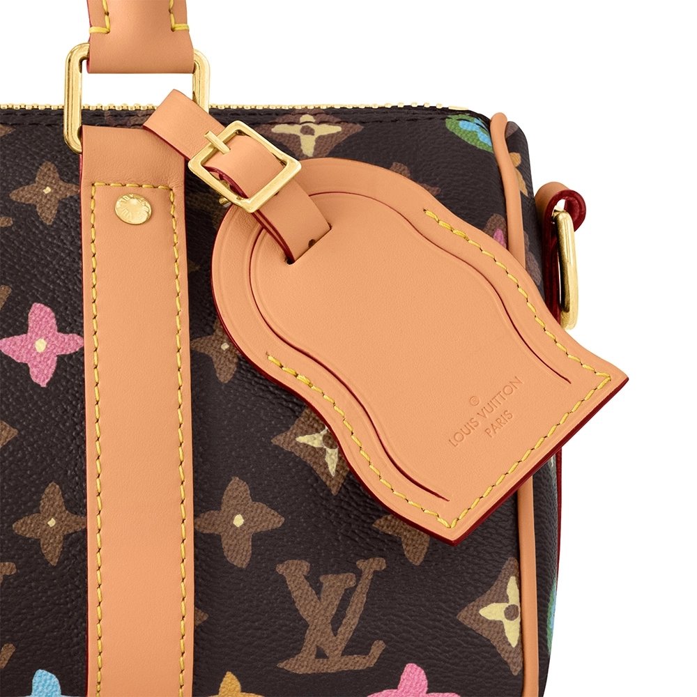 Louis Vuitton Bags M24849 25X15X11cm