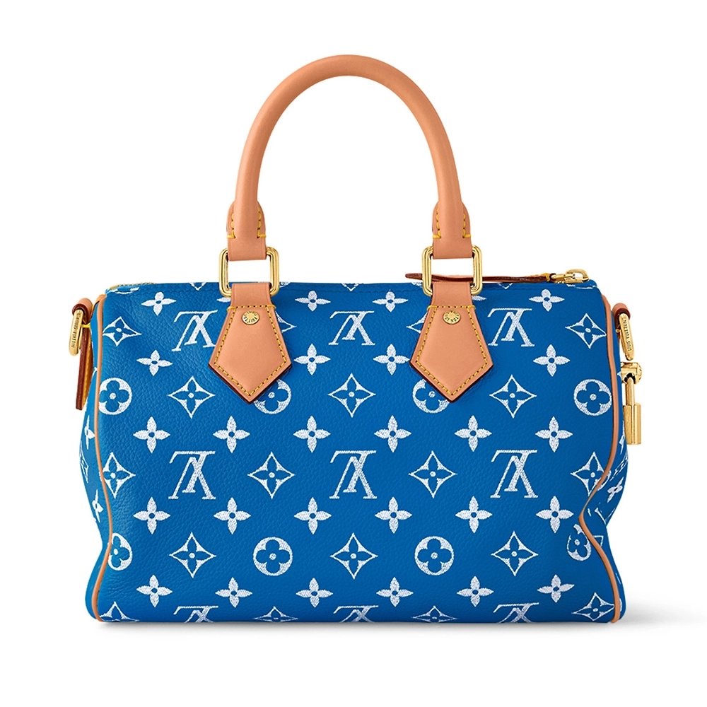 Louis Vuitton Bags M24424 25X15X15cm