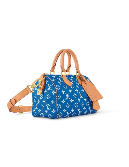Louis Vuitton Bags M24424 25X15X15cm