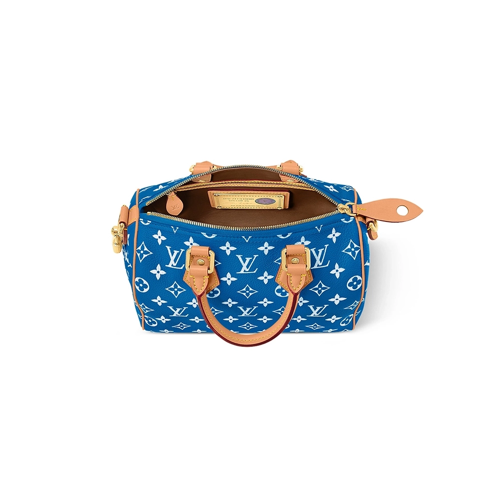 Louis Vuitton Bags M24424 25X15X15cm